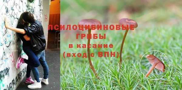 spice Балахна
