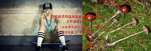 прущие крисы Баксан