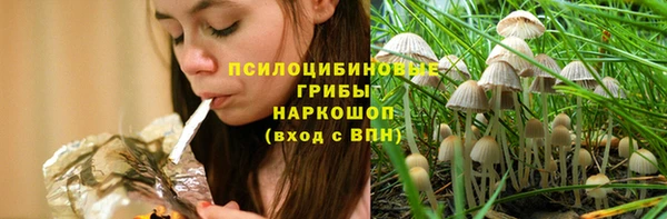 spice Балахна