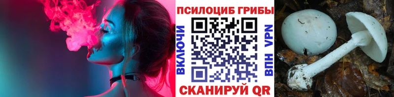 цены   Городище  Псилоцибиновые грибы GOLDEN TEACHER 